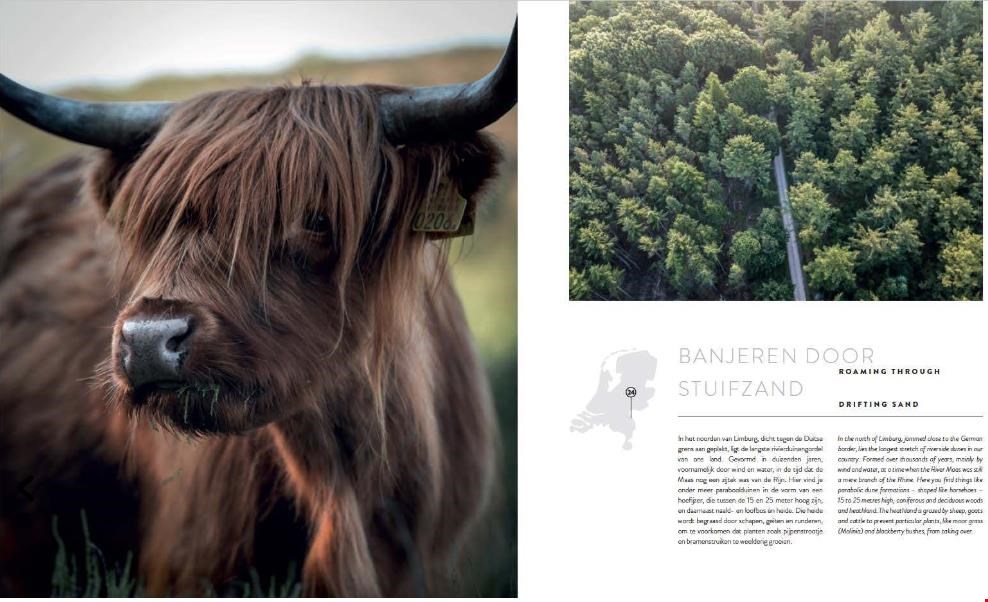 Op safari in eigen land Op safari in eigen land